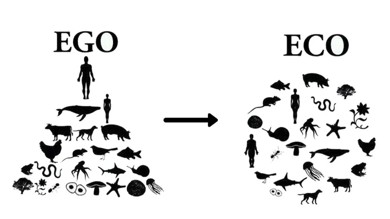 Ego to Eco — shifting from human-centered to interspecies design