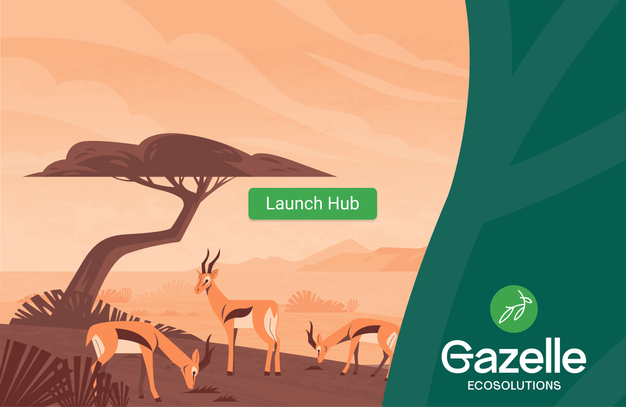 Gazelle splash screen